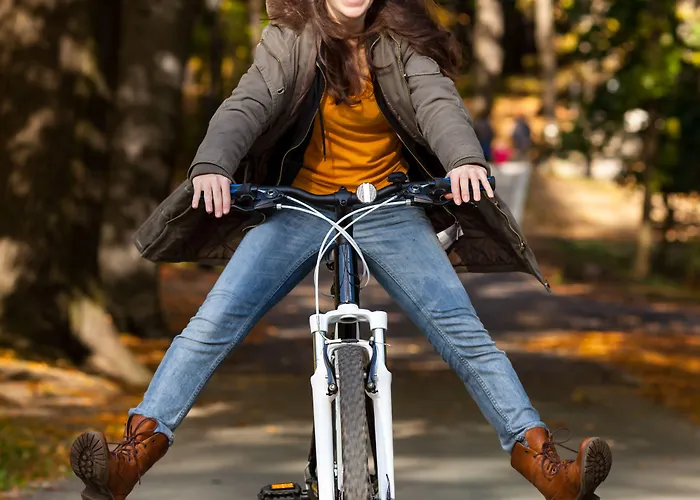 فندق فيورد 3*